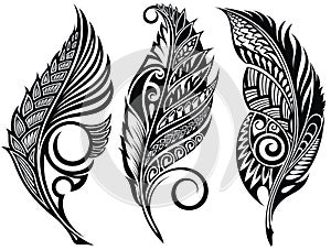 Stylized, vector Decorative Feathers with abstract shapes.