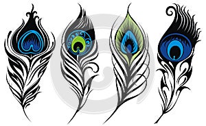 Stylized, vector peacock feathers