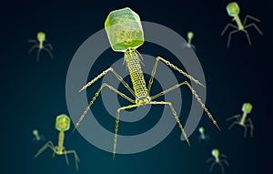 Stylized visualization of a bacteriophage photo