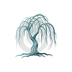 Stylized Weeping Willow Tree Illustration in Blue and White on White Background