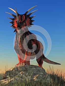 Styracosaurus