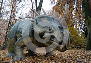 Styracosaurus photo