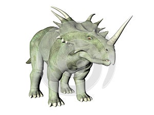 Styracosaurus photo