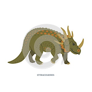 Styracosaurus dinosaur. Herbivorous ceratopsian dinosaur from the Cretaceous Period.