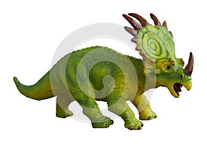 Styracosaurus dinosaur on  white background