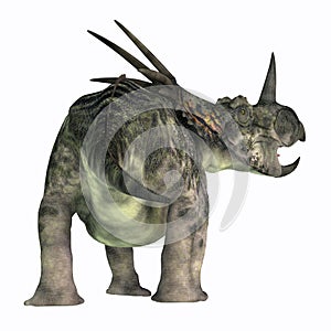 Styracosaurus Dinosaur Tail