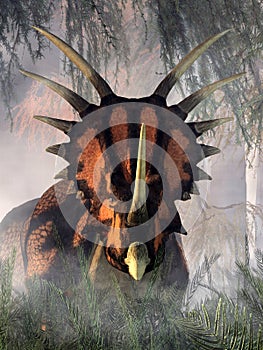 Styracosaurus photo