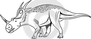 Styracosaurus vector