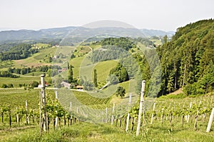 Styria Landscape