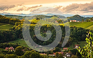 Styrian Tuscany Vineyard in autumn near Eckberg, Gamliz, Styria, Austria