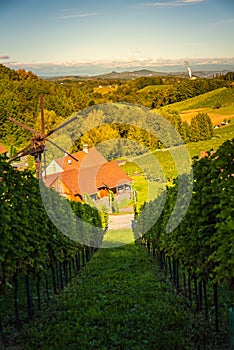 Styrian Tuscany Vineyard in autumn near Weingut Regele in Ewitsch