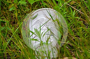 Styrofoam cup litter found with grasses growing around it in prairie of the Crex Meadows Wildlife Area