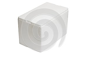 Styrofoam storage box