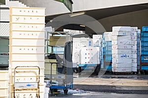 Styrofoam storage box for frozen food