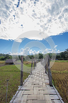 Su Tong Pae Bridge,the bamboo bridge of faith across the rice fields in Mae Hong Son province,Northern Thailand.