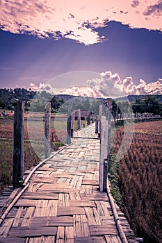 Su Tong Pae Bridge,the bamboo bridge of faith across the rice fields in Mae Hong Son province,Northern Thailand.