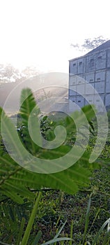 Morning sunlight through mist near an building old