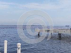 Suasana pantai mutiara Jakarta photo