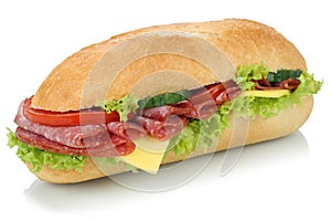 Sub deli sandwich baguette with salami isolated