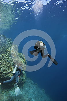 Suba-Diver photo