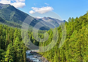 Subalpine coniferous taiga in Siberian mountains photo