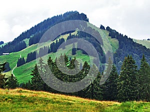 Subalpine forests in the Ostschweiz region