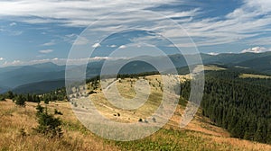 Subalpine meadow at mountains