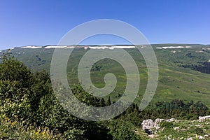 Subalpine meadows; herbage; variety of grasses; plants; flowering;haymaking;pastures; southern slopes; lush flowering; animal feed