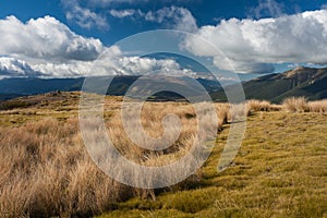 Subalpine pastures in Nelson Lakes National Park