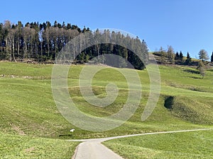 Subalpine roads, mountain forest trails and recreational bike trails on the slopes of the Swiss mountain massif Pilatus