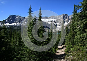 Subalpine Trail and Crowfoot Mountain