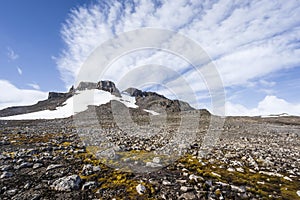 Subantarctic landscape