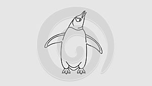 Subantarctic penguin or gentoo penguins graphic animation. Alpha channel