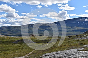 Subarctic mountain landscape photo