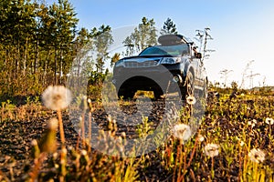 Subaru Forester with roof box at dirt road in the forest