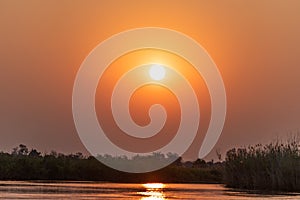 Subdown at the okawango delta in Botswana