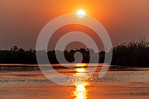 Subdown at the okawango delta in Botswana