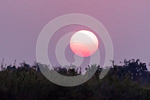 Subdown at the okawango delta in Botswana