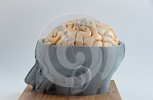 Subdural grid electrode for brain waves recording on the brain model