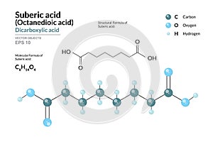 Suberic Acid. Structural Chemical Formula and 3d Model of Molecule. C8H14O4. Atoms with Color Coding. Vector graphic Illustration
