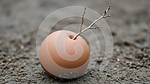 On the subject while the background is blurred emphasizing the