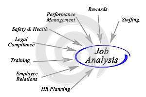 Subjects of Job Analysis