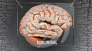 Subliminal in human brain