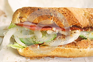 Submarine Sandwich Toasted Hearty Italian Style photo