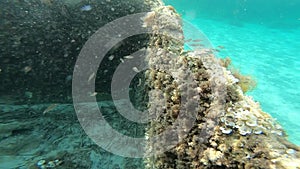 Submarine view in the sardinia coast with ancient ruins in slow motion