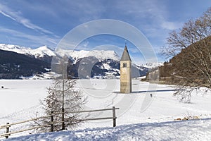 The submerged bell tower of Resia with snow