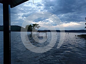 Submerged bench and tree in a lake on a cloudy evening