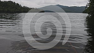 Submerged rail tracks underwater in calm lake in forested mountains