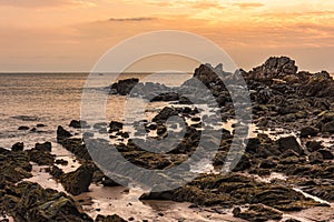 Submerged rock at coastline in the golden hour (sunset).