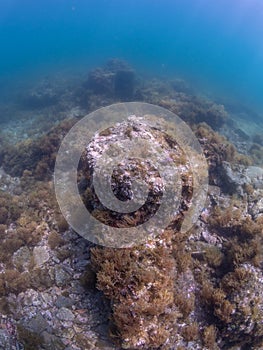 Submerged ruins of Pisonian Villa. Underwater, Archeology
